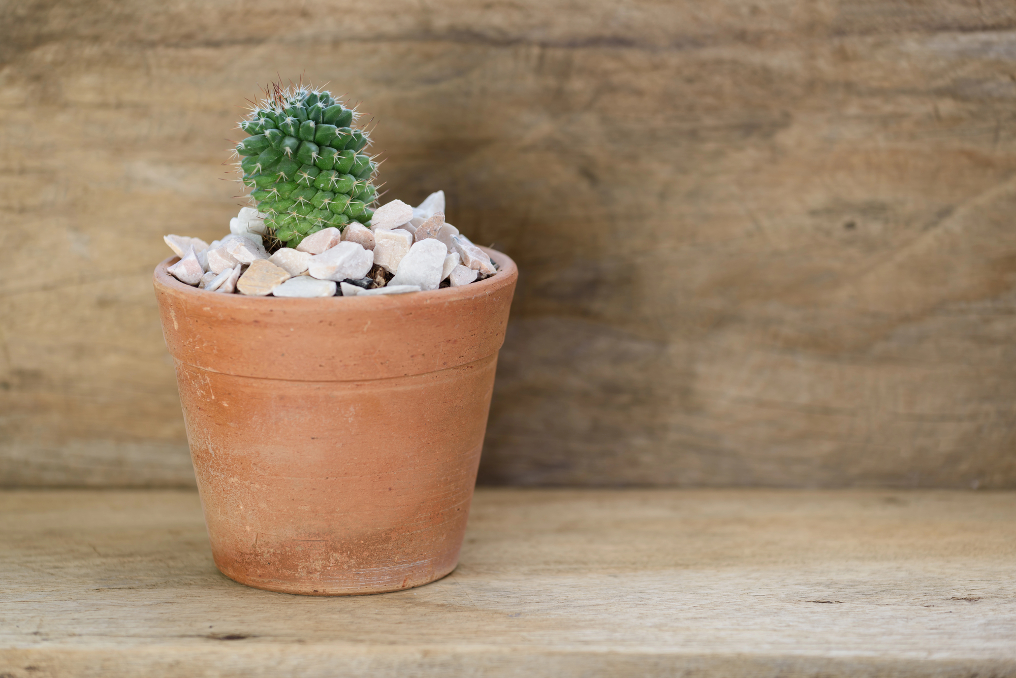 Depositphotos 364088048 L